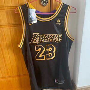 Nike Los Angeles Lakers LeBron James #23 Black Jersey